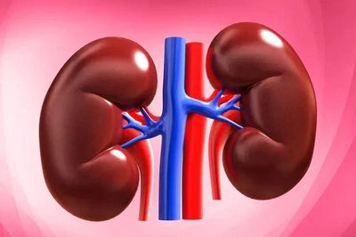 6 dấu hiệu trên da có thể cảnh báo thận đang gặp vấn đề