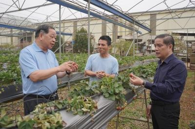 Phát động bình chọn các điển hình tiên tiến phát triển nông nghiệp hữu cơ Việt Nam năm 2026