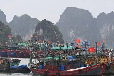 Quảng Ninh: 1 người mất tích do mưa bão, cấm biển từ 12 trưa nay