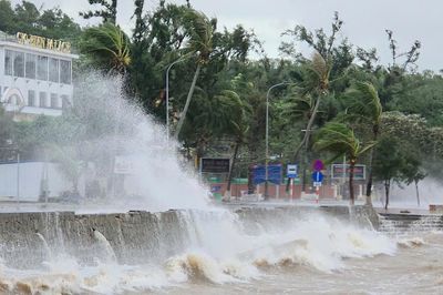 Hải Phòng khẩn trương triển khai các biện pháp ứng phó bão số 1