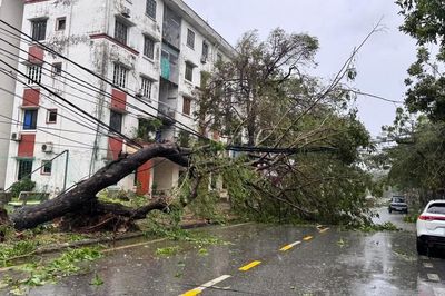 Bão số 1 cách Móng Cái (Quảng Ninh) hơn 300km, giật cấp 11