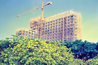 TP.HCM 50 năm trước qua ảnh