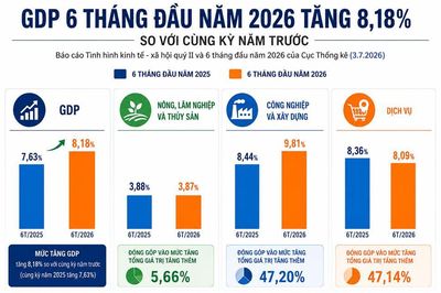 Điều gì tạo nên mức tăng trưởng GDP 8,18% trong 6 tháng đầu năm?