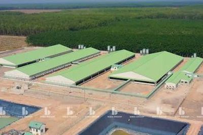 Đất nông nghiệp chưa sổ đỏ có được xây dựng trang trại?