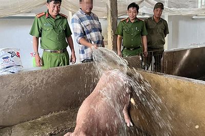 Từ những khoản vay nghĩa tình đến hành trình làm lại cuộc đời