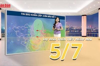 [Video] Dự báo thời tiết đêm nay và ngày mai ngày 5/7/2026: Bão số 1 áp sát Bắc Vịnh Bắc Bộ, Bắc Bộ mưa rất to, nguy cơ ngập úng, lũ quét và sạt lở đất