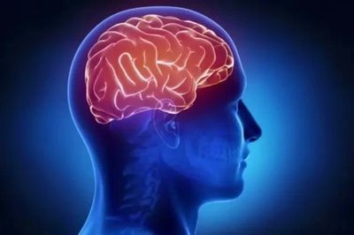 Tương lai đầy hy vọng 'ngăn chặn' đột quỵ