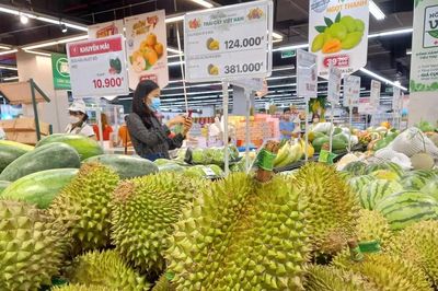 Giá sầu riêng giảm mạnh vào thời điểm thu hoạch chính vụ