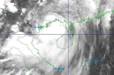 Bão giật cấp 11 đi vào bờ biển Quảng Ninh, nhiều nơi mưa to đến rất to
