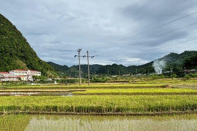 Hơn 40 tuổi, tôi vẫn được mùa hè tuổi thơ vỗ về