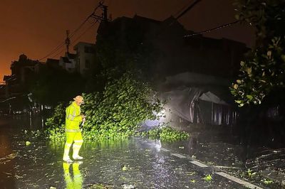 Hình ảnh bão số 1 Maysak đổ bộ Móng Cái, gió rít liên hồi, mưa trắng trời