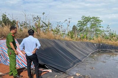 Lâm Đồng tăng cường đấu tranh xử lý tội phạm về môi trường gắn với phát triển du lịch bền vững