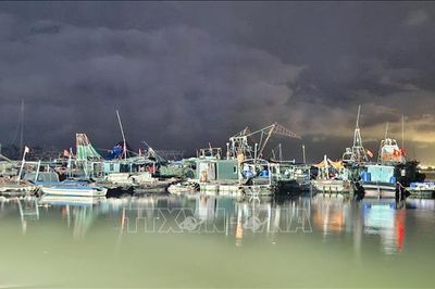 Quảng Ninh chạy đua với thời gian, khẩn cấp ứng phó bão số 1