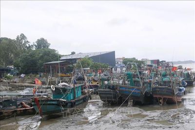 Khẩn trương ứng phó bão số 1, dồn lực bảo vệ người dân vùng nguy hiểm