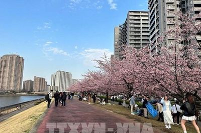 Biến tài sản công dôi dư thành nguồn lực tăng trưởng - Bài cuối: Cách Nhật Bản 'đánh thức' nhà đất bỏ trống