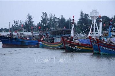 Khắc phục 'thẻ vàng' IUU: Cà Mau tăng cường kiểm soát tàu cá, tái tạo nguồn lợi thủy sản