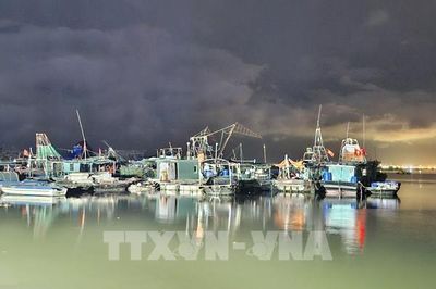 Ứng phó bão số 1: Quảng Ninh tập trung lực lượng khẩn trương khắc phục hậu quả bão số 1 trong đêm