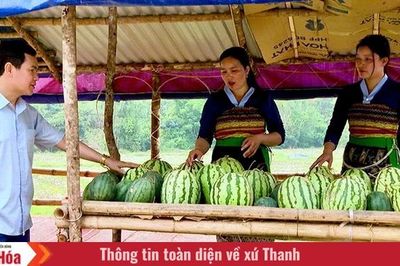 Hương quê ven đường