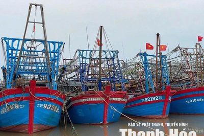 5.627 tàu thuyền của Thanh Hóa đã neo đậu an toàn tránh bão số 1
