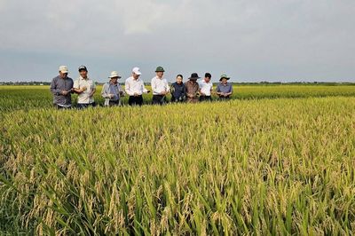 Nông nghiệp 6 tháng đầu năm 2026: Tăng trưởng vững chắc, nâng cao giá trị và hiệu quả