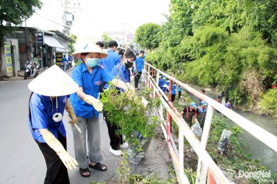 Người trẻ hành động vì môi trường xanh