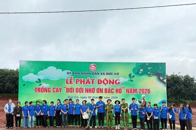 Đức Cơ phấn đấu trồng 34.000 cây xanh phân tán