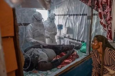 CHDC Congo thử nghiệm điều trị cho đợt bùng phát Ebola chủng Bundibugyo