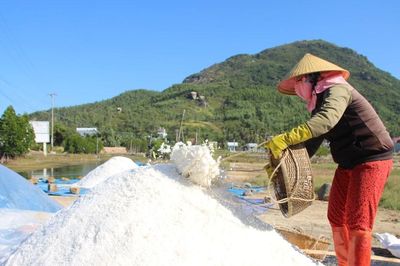 Gia Lai: Hơn 7.580 tấn muối còn tồn trong dân
