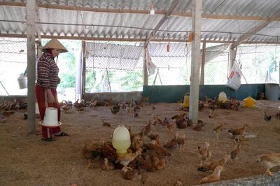 Đa dạng vật nuôi nâng cao giá trị kinh tế
