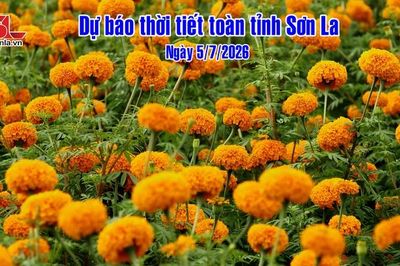 Dự báo thời tiết toàn tỉnh Sơn La ngày 5/7/2026