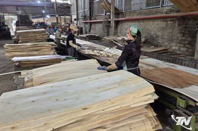 Dòng vốn ngân hàng góp phần thúc đẩy tăng trưởng cho doanh nghiệp