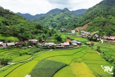 Tiếp sức vùng cao trên hành trình phát triển