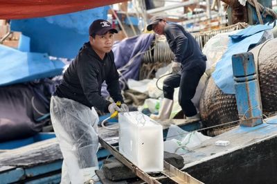 Giá dầu giảm gần 40%, hàng nghìn tàu cá Quảng Ngãi tăng tốc ra khơi