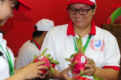 Thanh long Mỹ Tịnh An: Giá trị không chỉ nằm ở trái ngọt