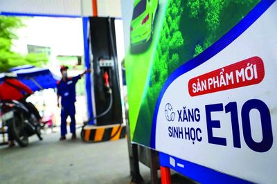Ngành ethanol đứng trước cơ hội lớn