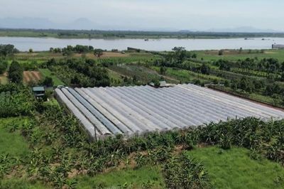 Tạo hành lang pháp lý khai thác hiệu quả quỹ đất bãi sông