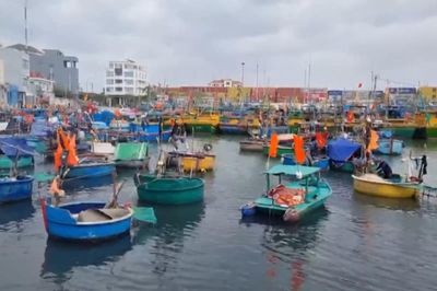 Không cấp phép tàu thuyền vào vùng nguy hiểm
