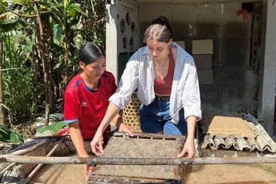 Điều tra lao động, việc làm: Thu nhập các hộ gia đình tiếp tục ổn định, có cải thiện