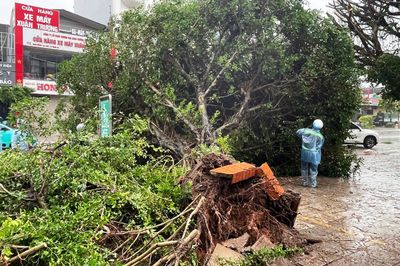 Bão số 1 đi vào bờ biển Móng Cái, gió giật mạnh duy trì đến khi nào?