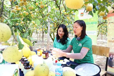 Phát triển nông nghiệp xanh nâng tầm kinh tế nông thôn