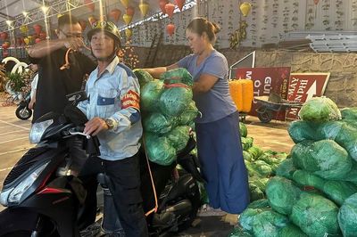 Những chuyến xe chở bắp cải phát miễn phí trước bão số 1