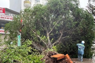 Bão Maysak gây nhiều thiệt hại tại Quảng Ninh