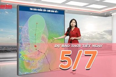 [Video] Dự báo thời tiết ngày 5/7/2026: Bão số 1 gây biển động mạnh, Bắc Bộ mưa rất to, nhiều khu vực cảnh báo dông lốc