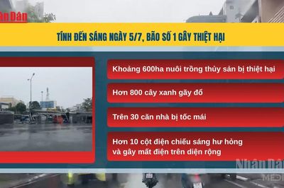 [Video] Bão số 1 gây thiệt hại tại Móng Cái, hàng chục nhà tốc mái, hàng trăm cây xanh gãy đổ