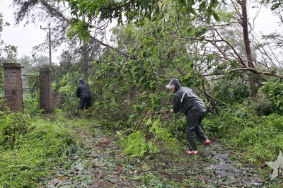 Quảng Ninh: Đồn Biên phòng Đồng Văn khắc phục hậu quả bão số 1