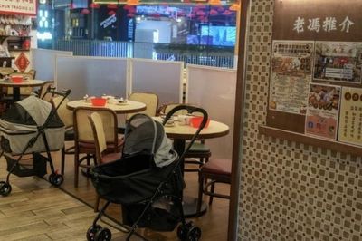 Hong Kong mở cửa đón 'thực khách bốn chân', kỳ vọng thúc đẩy nền kinh tế thú cưng