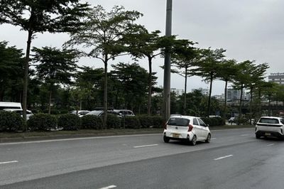 Dự báo thời tiết 10 ngày tới (5-15/7): Các khu vực chiều tối, đêm mưa rào, dông; mưa to cục bộ đến rất to tại Bắc Bộ có xu hướng giảm dần