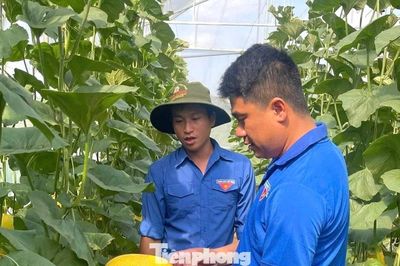 Bắt đất 'đẻ' ra tiền