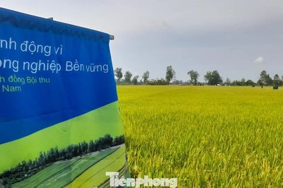 Thanh niên chung tay xây dựng hệ sinh thái nông nghiệp xanh từ cộng đồng