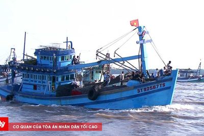 Hải Phòng dỡ lệnh cấm biển sau khi bão số 1 suy yếu